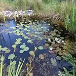 Jindriska Ferienpark Borusov