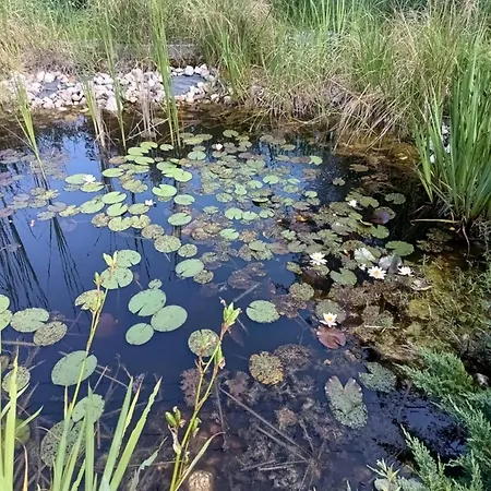 Jindřiška Prázdninový areál Borusov